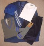blue blazer 300
