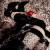 Alyssa
