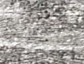 neverna78