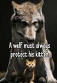 Canis Lupus